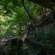 Disused WWII-era military structures have been steadily consumed by nature at Windrock.